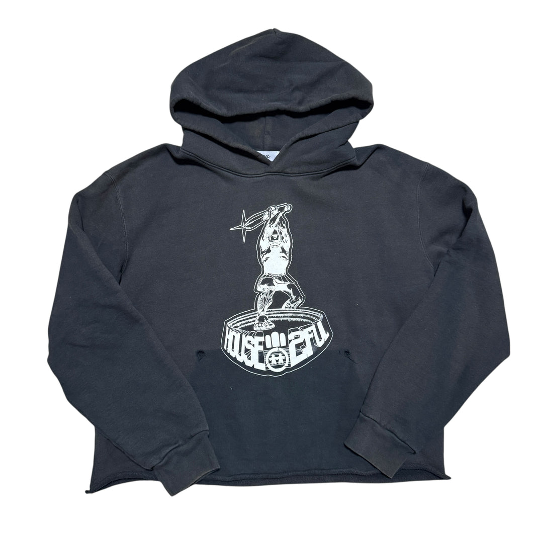 SUNFADED HOUSE 2FUL HOODIE (26.5x26)