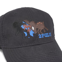 Load image into Gallery viewer, SAMPLE NARA PARK HAT (BLUE)
