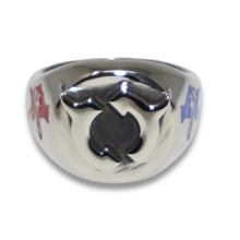 Load image into Gallery viewer, GEMINI RIGHTS SIGNET RING (ENAMEL)

